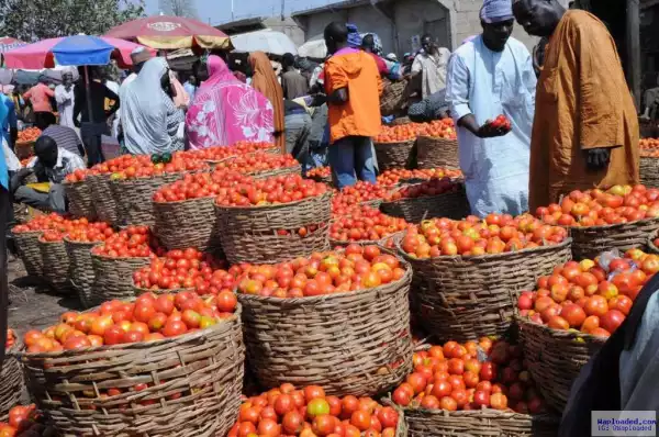 Price of beans soars as cost of tomatoes remain high